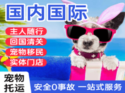 朔州航空快递国际宠物托运 【国